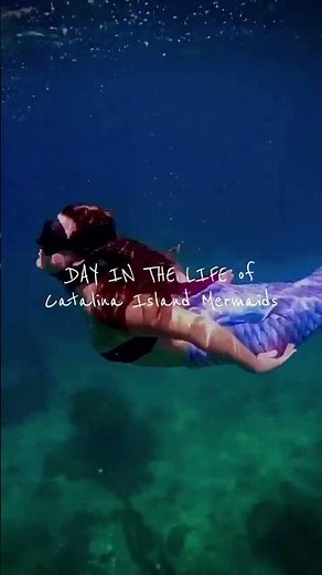 Mermaid Meet Up ft. Mermaid Jenna! #mermaidexperience #mermaidmeetup #buddysystem #padiMermaids