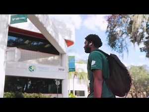 USF COPH: This is us
