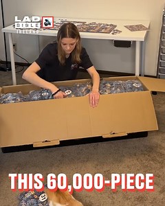 A massive 60,000-piece puzzle 🤯🧩 | LADbible Ireland