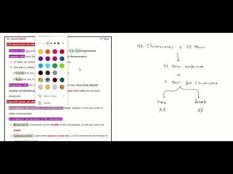 All Cytogenetics Revision