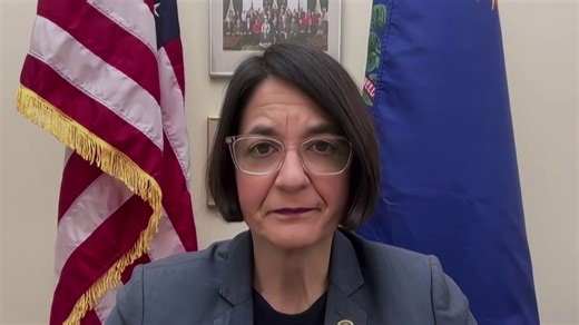 Rep. Balint: "This is the Epstein administration."