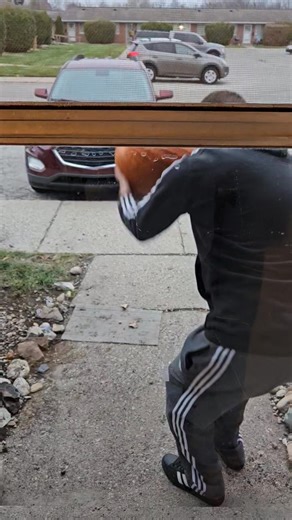 Halloween is over | Jacob Henry Janes