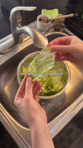 Have you been washing your lettuce the right way? | Simply Recipes