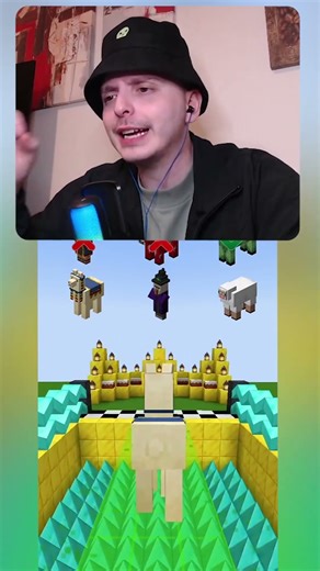 MINECRAFT CHARACTERS VS PINCHES 🤣