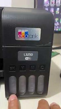 Epson Printer Not Printing Ink? See How to Clean the Nozzle (L300 and L400 Series) #epson