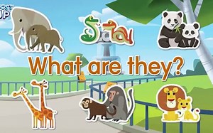 【动物篇】它们是什么 What are they?