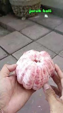 cara mengupas buah jeruk bali