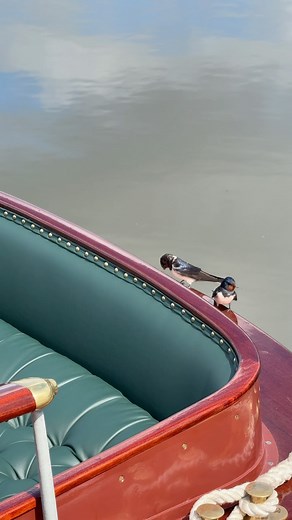 6.3K views · 140 reactions | One of the biggest head scratchers in...