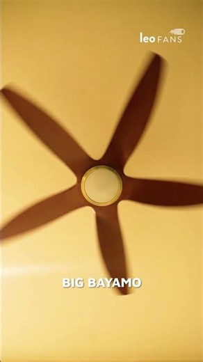 Designer Fans Trends 2026