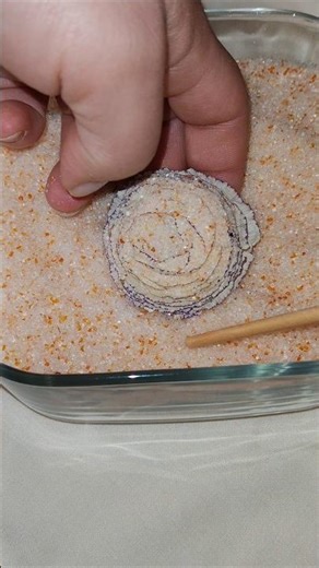 Drying a Ranunculus Flower with Silica Gel 🌼 | Flower Preservation