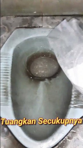 Tutorial Cara Mengatasi WC Tersumbat 100% AMPUH