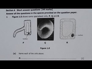 2017 Biology Paper 2 Question 1 | Plant and animal Cells
