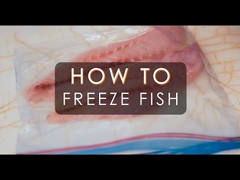 How To Freeze Fish at Home | A Fishmonger's Guide