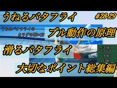 Undulating, gliding butterfly and pull movement principles [Compilation]