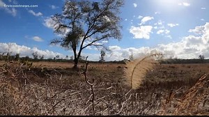 Big check for a small town's wastewater plant. Is it a sign of a Bass Pro Shop resort development?