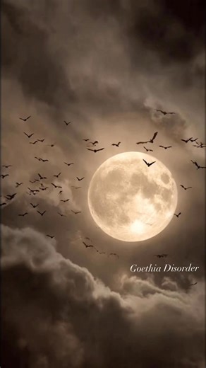8.7K views · 421 reactions | ~ Goth Night 驪 #dark #gothic #gothstyle #art #gothicart # | Goethia Disorder | Facebook