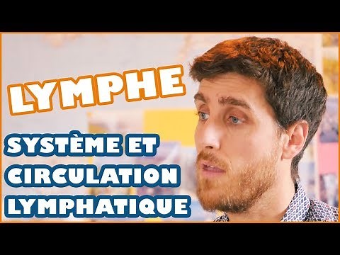 UNDERSTANDING THE LYMPHATIC SYSTEM AND LYMPH