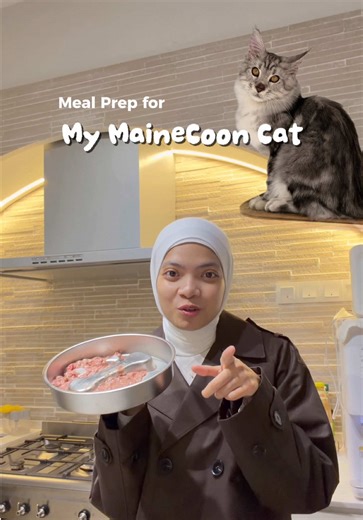 Meal Prep Ideas for Your 4-Month-Old Maine Coon Cat