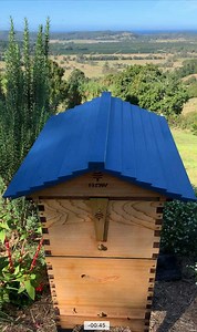 We love bees! 🐝💛 Afternoon hive check reveals some frames in our Flow Hive 2 that are close to being capped and ready for harvesting. 🍯😍 Go bees! 👏😄 #flowhive #honeyflow #flowhive2 | Flow Hive