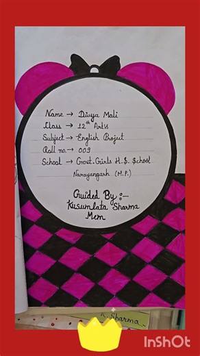 amazing work #project #12th#boardexam