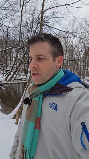 Kyle Cox on Instagram: "Consistent food routines free up 31% more mental bandwidth for complex tasks #food #routine #decisions #neuroscience #productivity"