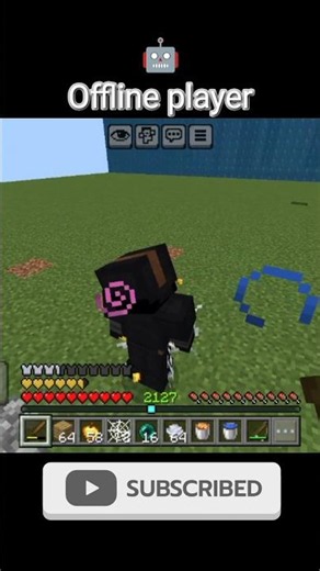Minecraft offline player