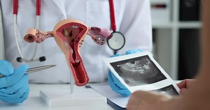 Male And Female Reproductive System Images – Browse 6,003 Stock Photos, Vectors, and Video