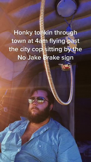 Fun fact: a cat Jake brake it quieter than a semi crashing through you’re house #foryou #HotwireHotelGoals #CompleteMyLook