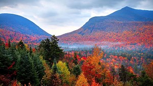 Autumnwatch New England - Twin Cities PBS