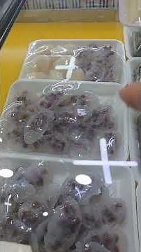 속보이는 야한 감자떡 수리취떡 먹어봤나유 ? #차돌TV #시장맛집 #홍천여행 #맛집 #시장음식 #맛집추천 #쇼츠