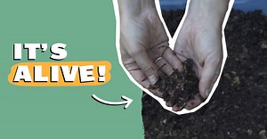 The secret history of dirt, explained to kids