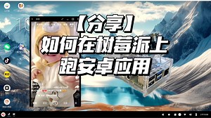 【内附教程】支棱起来了！树莓派上能跑安卓应用了！