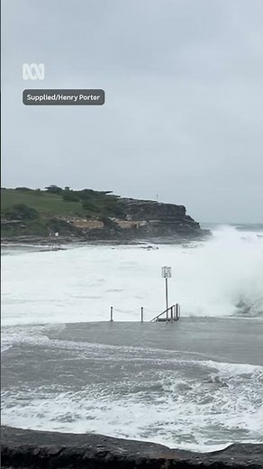Sydney's Clovelly beach rocked by strong winds and large swells | ABC News