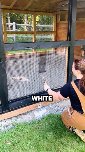 Amazing visual magic #trivia #viral #shorts