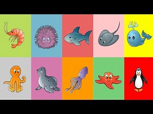 Learn Sea Animals | Ocean Animals for Kids | Animals Puzzle and Real Video of the Animals #2 [Abuzz]
