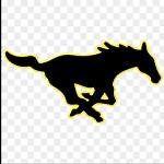 McCool Junction High School - Roster