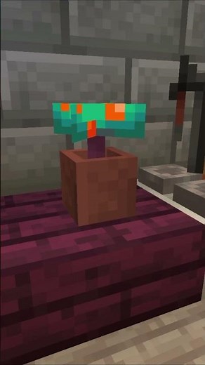 We Have a New Laboratory in the Castle in Minecraft