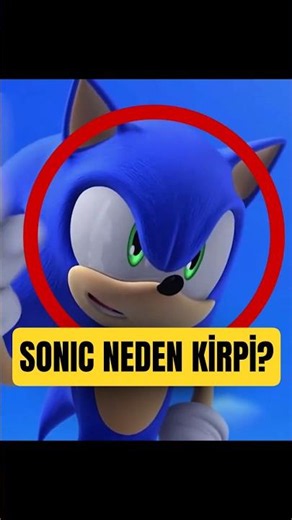 Hedgehogs Are So Slow: Why Did Sonic Become a Hedgehog?