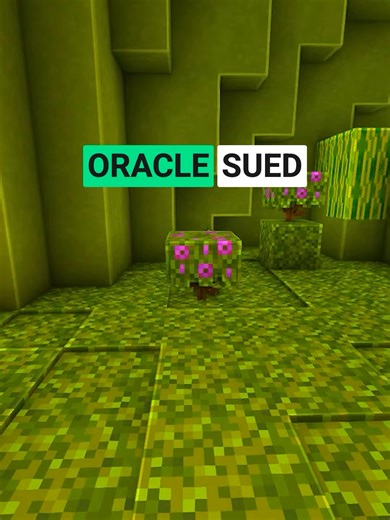 Oracle bought Sun Microsystems, saw Android printing money, and decided to sue Google for $9 billion — ignoring the fact that the previous owner had publicly congratulated Google. The case ran 11 years, went to the Supreme Court, and nearly broke how software development works entirely. Oracle walked away with $0. Was this the most expensive corporate grudge in tech history? #kairosays #google #oracle #viral #programmers #techhistory #funfacts #techstories #instagramreels #viral #programmers #de