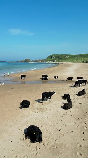 Exploring White Park Bay in Northern Ireland
