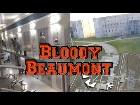 A Close Up Look Of Federal Prison