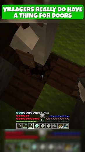 I Swear I've Never Seen An "Intelligent" Villager #minecraft #rlcraft #gaming #villager