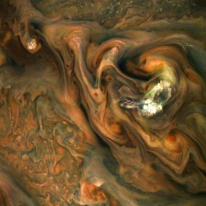 Red Snapper - TRUTH 1