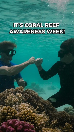 It’s Coral Reef Awareness Week 🌊 Coral reefs protect our coastlines, support over 25% of all marine life, and help produce the oxygen we breathe. But pollution and climate change are putting them at serious risk. We partnered with Coral Gardeners to work to restore these ecosystems! 🌱 Pull a pound. Defend the reef. Visit https://bit.ly/4fa5T8X #CoralReefAwarenessWeek #4ocean #ProtectCoralReefs #OceanConservation #ReefRestoration #FightForTheOcean #ClimateAction | 4ocean