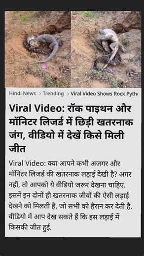 एक झटके में हमला! 🐍🦎 देखिए कौन जीता Hindi news #trending #shortsvideo