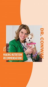 What does an Integrated Veterinary Nutritionist consider when making food recommendations? Let’s find out! 🐾🧡 | Instinct