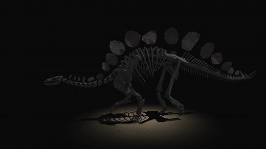 A Stegosaurus brought to life  | Natural History Museum