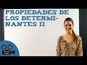 Properties of determinants II