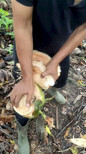 Easy and simple way to peel coconut