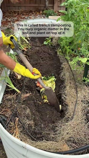 The easiest composting method of all!